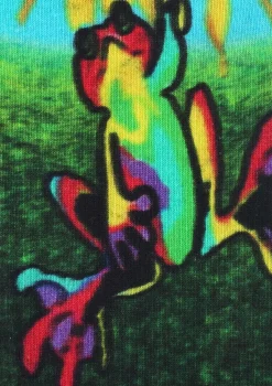 Skarpetki męskie z żabą Men Special Hippie Frog Marilyn